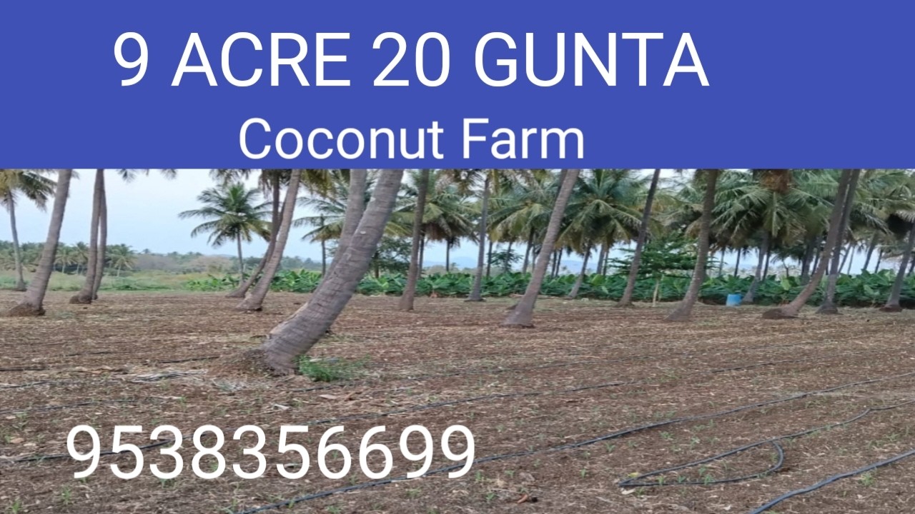 Wb) 9 ACRE 20 GUNTA | FUTURE MOVES FORWARD WITH FARMING | COCONUT FARM@9538356699@SurabhiProperties