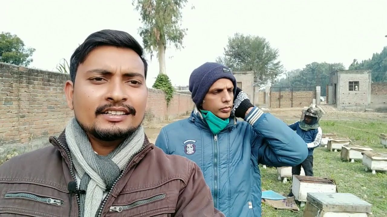Lucknow Farmers Market Bee farming by Royal Honey Bee Farming Society