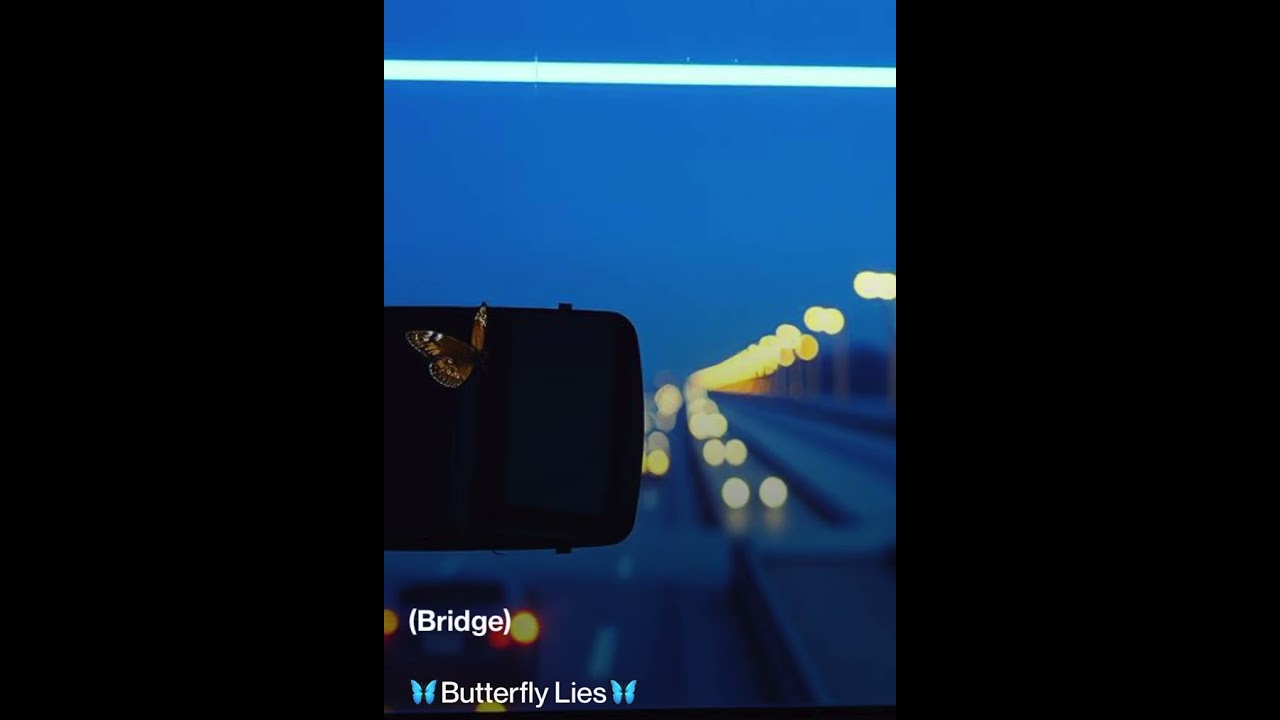 🦋Butterfly Lies🦋