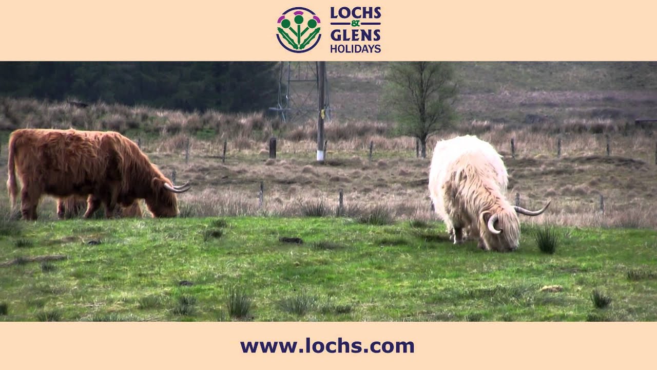 Ardgartan Hotel   Lochs & Glens