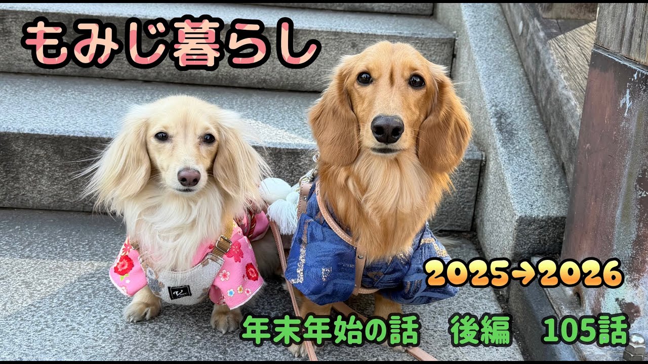 もみじ暮らし  2025→2026  年末年始の話  後編  105話