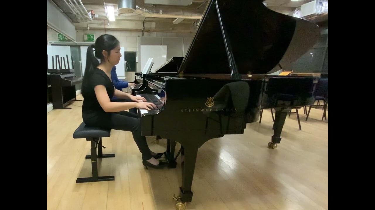 Rachmaninoff 2nd concerto in c minor(first movememt)