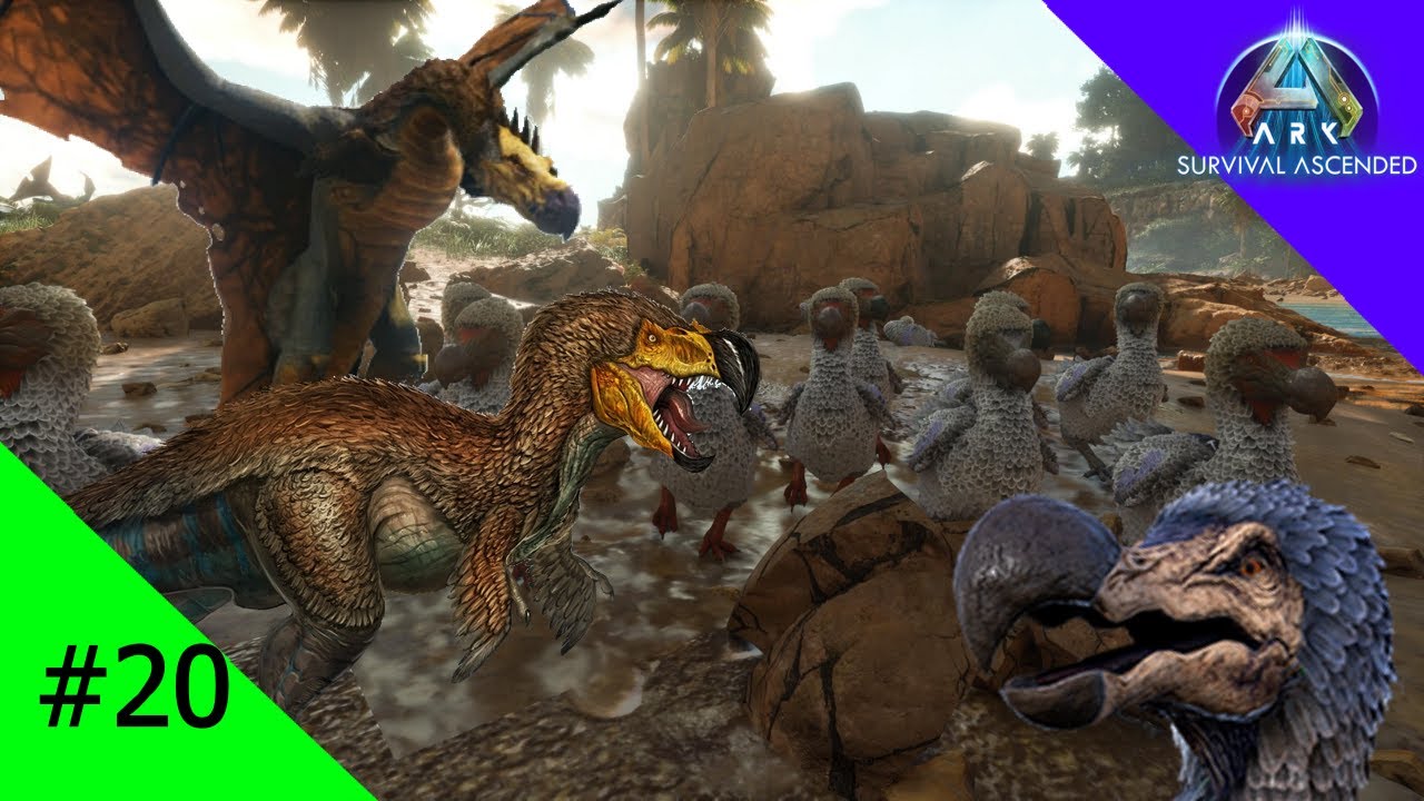 Der PERFEKTE Dodo! | Ark Survival Ascended | E20