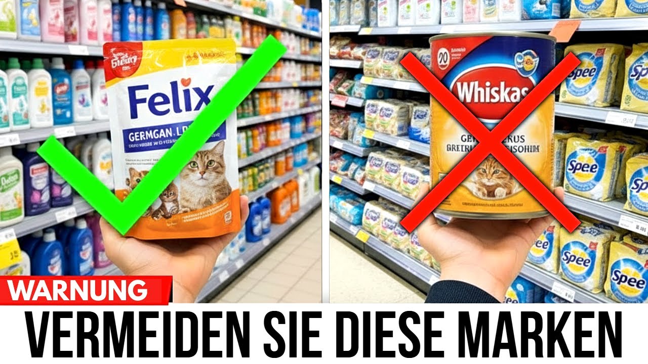 9 Katzenfutter, die Sie VERMEIDEN sollten (und die 2, die es wert sind)