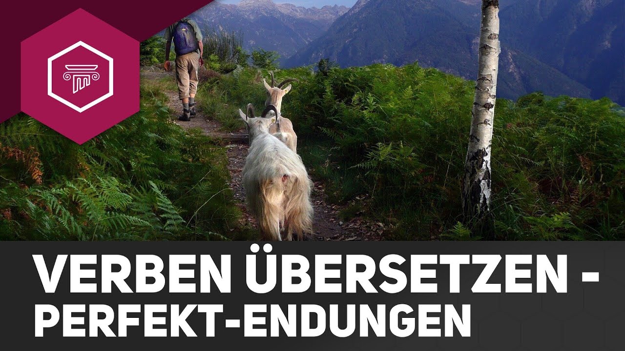 Vorgehen bei der Übersetzung von Verben mit Perfekt-Endungen