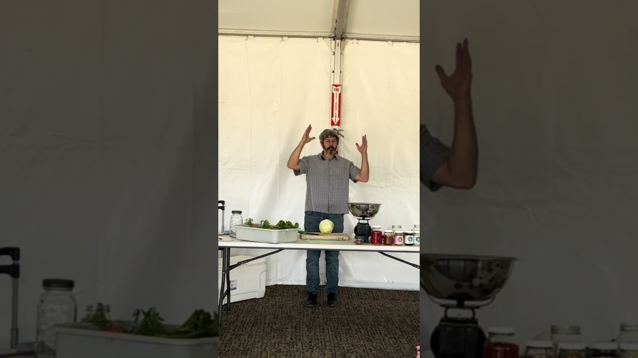 Полное руководство по ферментации: начало работы