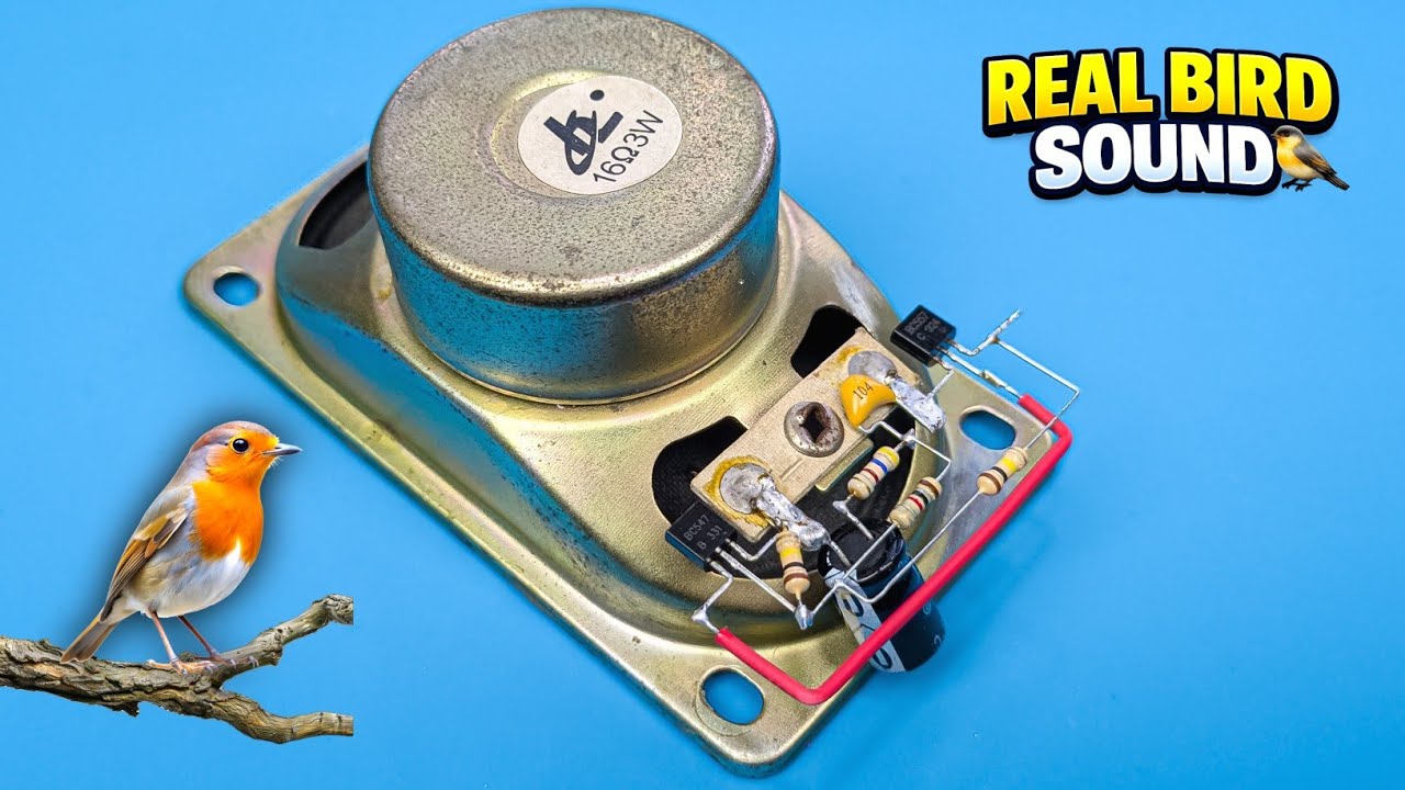 DIY Bird Sound Generator Circuit | Easy Electronic Doorbell (Step by Step)