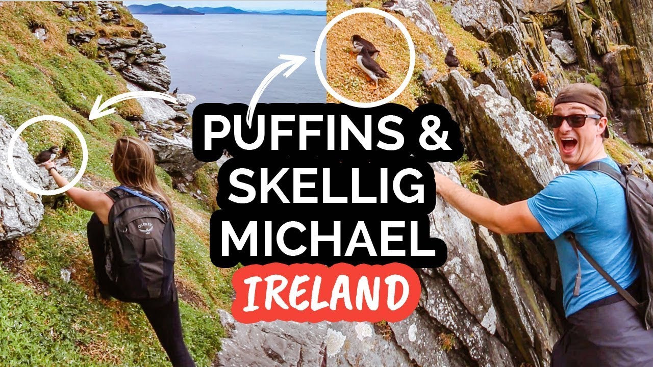 Visit PUFFINS on SKELLIG MICHAEL I Ireland