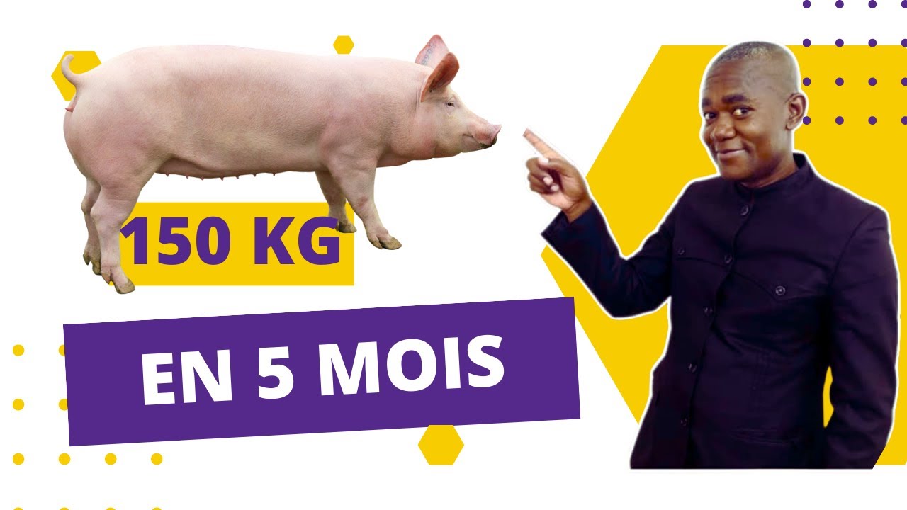 Le PORC GAGNE 150 KG EN 5 MOIS: CHRISTIAN VOUS MONTRE COMMENT IL A FAIT