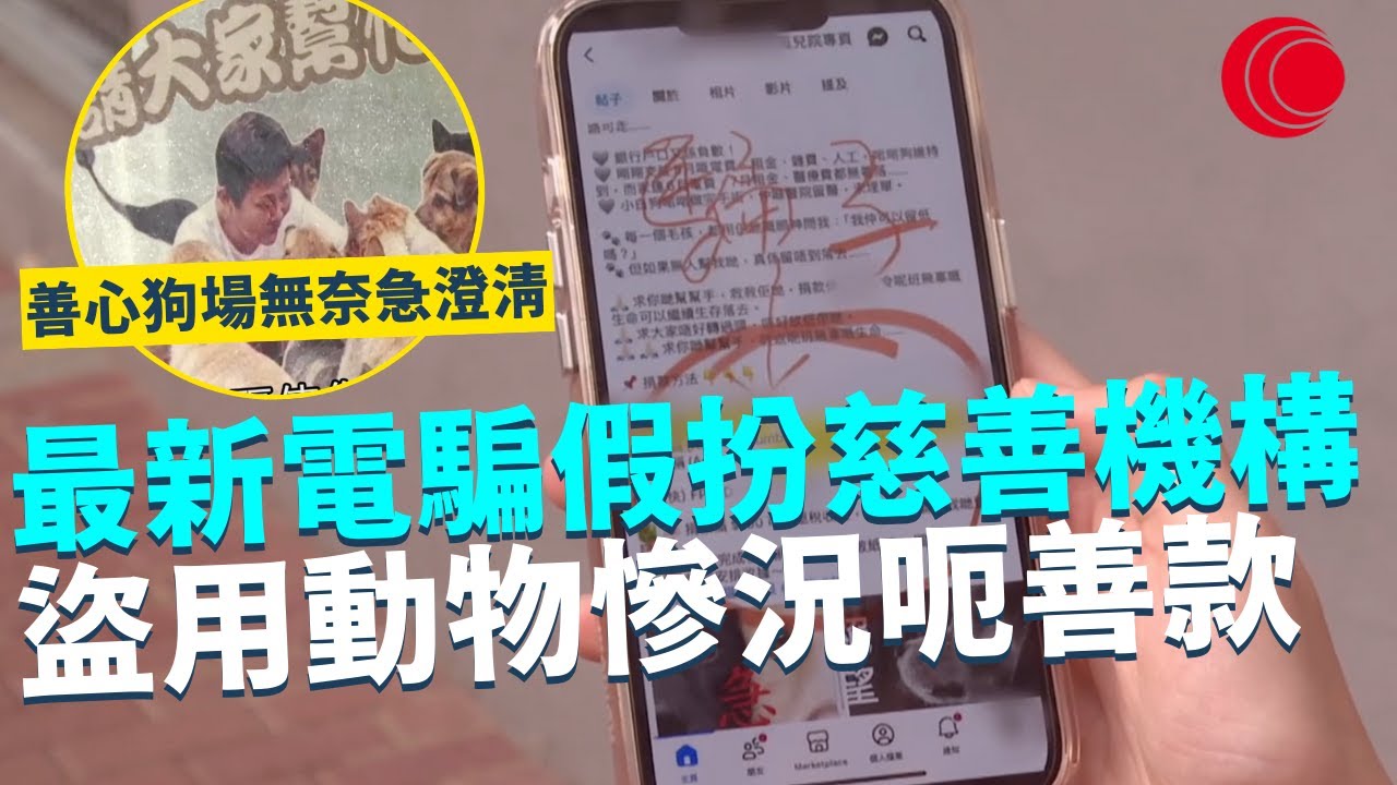 一線搜查｜最新電騙假扮慈善機構 盜用動物慘況呃善款 善心狗場無奈急澄清 每月開支緊絀 ｜814集｜有線新聞 余琦琪｜ #一線搜查｜HOYTV 77台 #hoytv77台