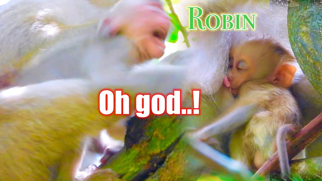 Pooř Bay..!! Why mom don&rsquo;t give milk to baby? Very pity baby cr&yuml;ing all time..