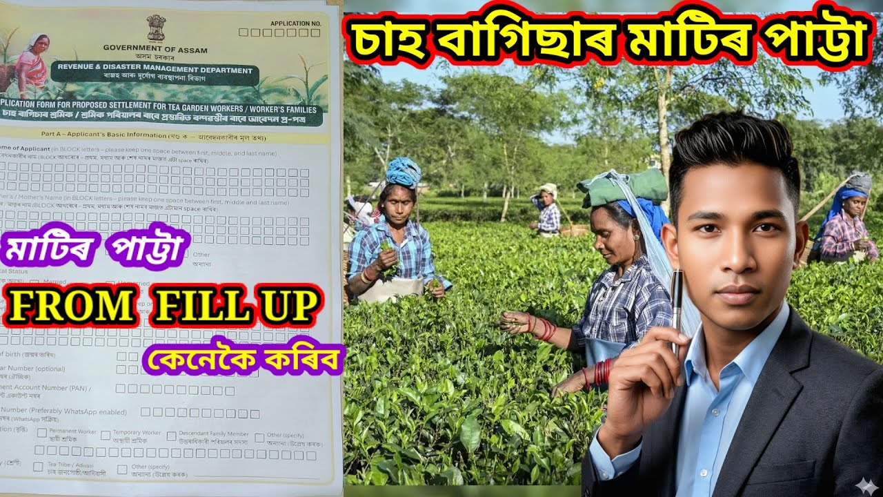 How to Fill Up Tea Tribal Land Patta Form 2026 | চাহ জনজাতিৰ ভূমি পট্টা ফৰ্ম কেনেকৈ ফিলাপ কৰিব?