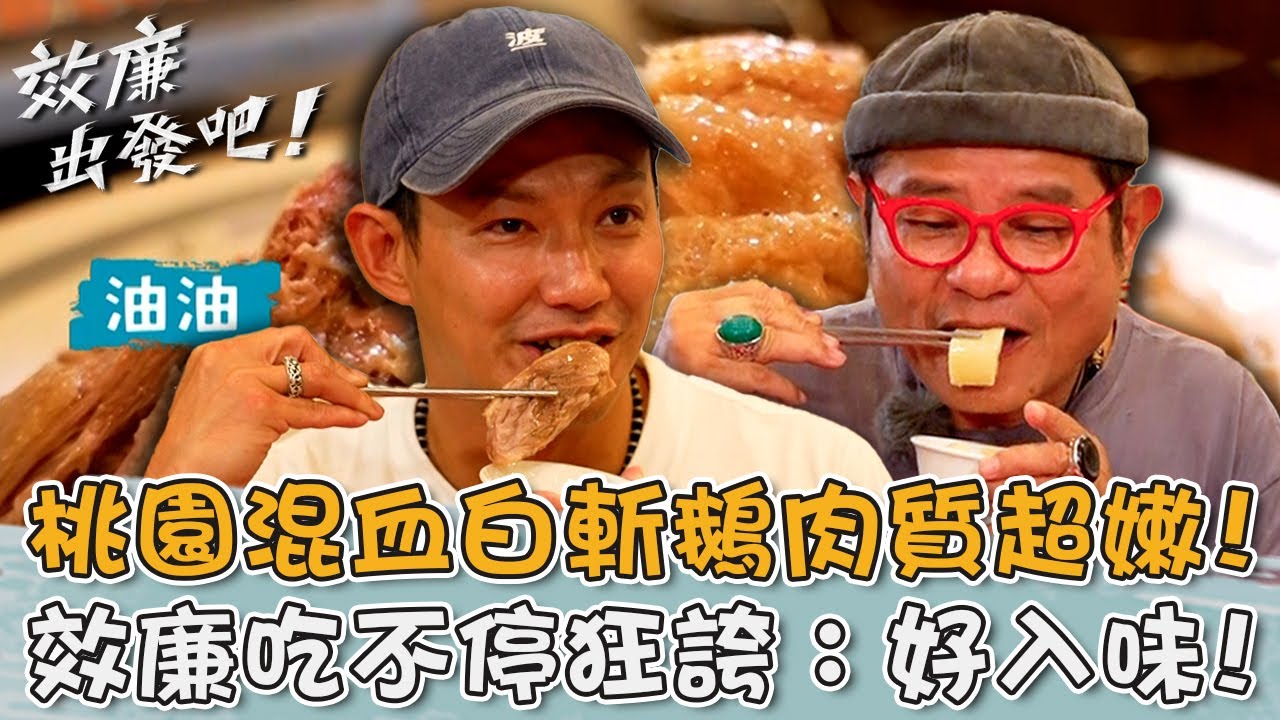 桃園新屋神級鵝肉店！「混血白斬鵝」肉質超嫩 效廉吃不停狂誇：好入味！【#效廉出發吧】20240512 EP62 Part3｜📍桃園．中壢．新屋｜許效舜 威廉