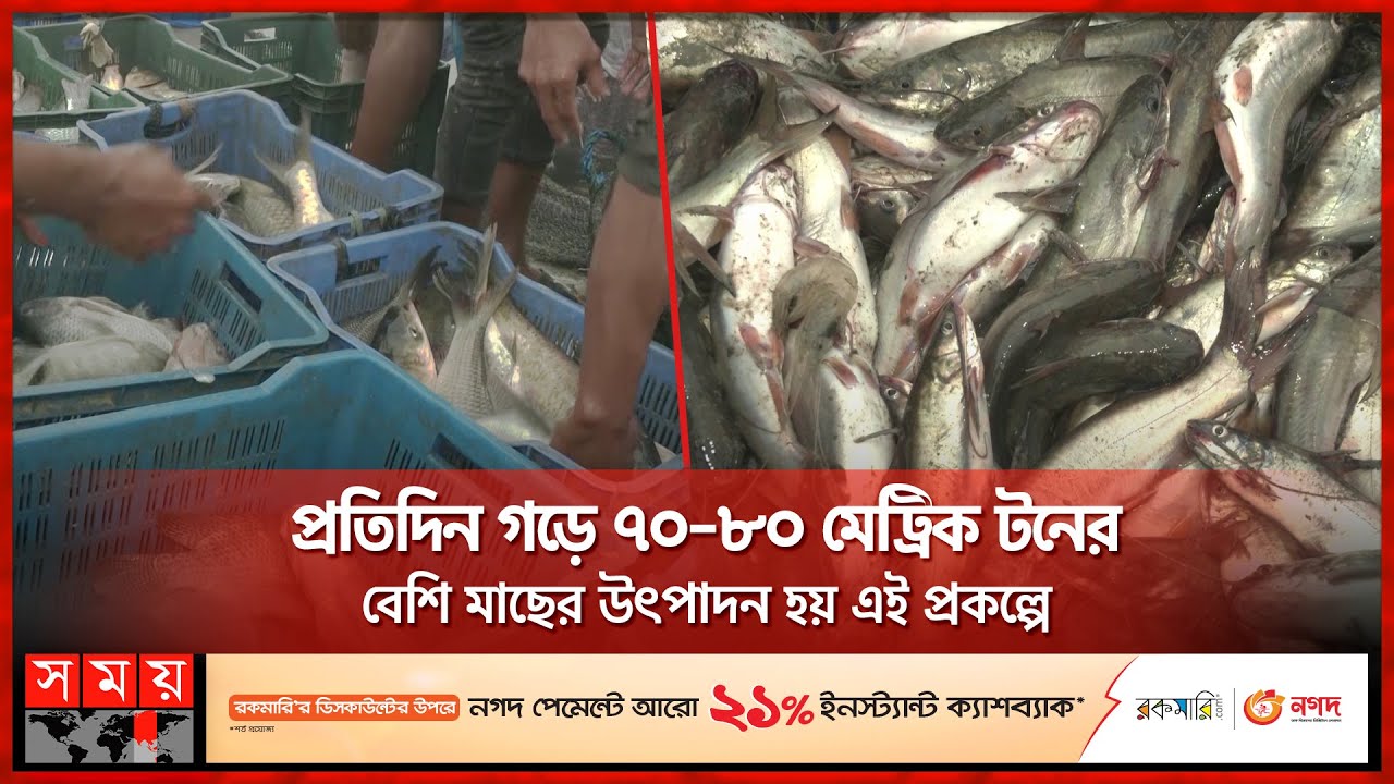গড়ে উঠেছে দেশের সর্ব বৃহৎ মৎস্য জোন 'মুহুরী' | Muhuri Fish Project | Feni | Chattogram Somoy TV