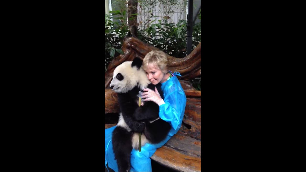 Panda Reserve Sondra