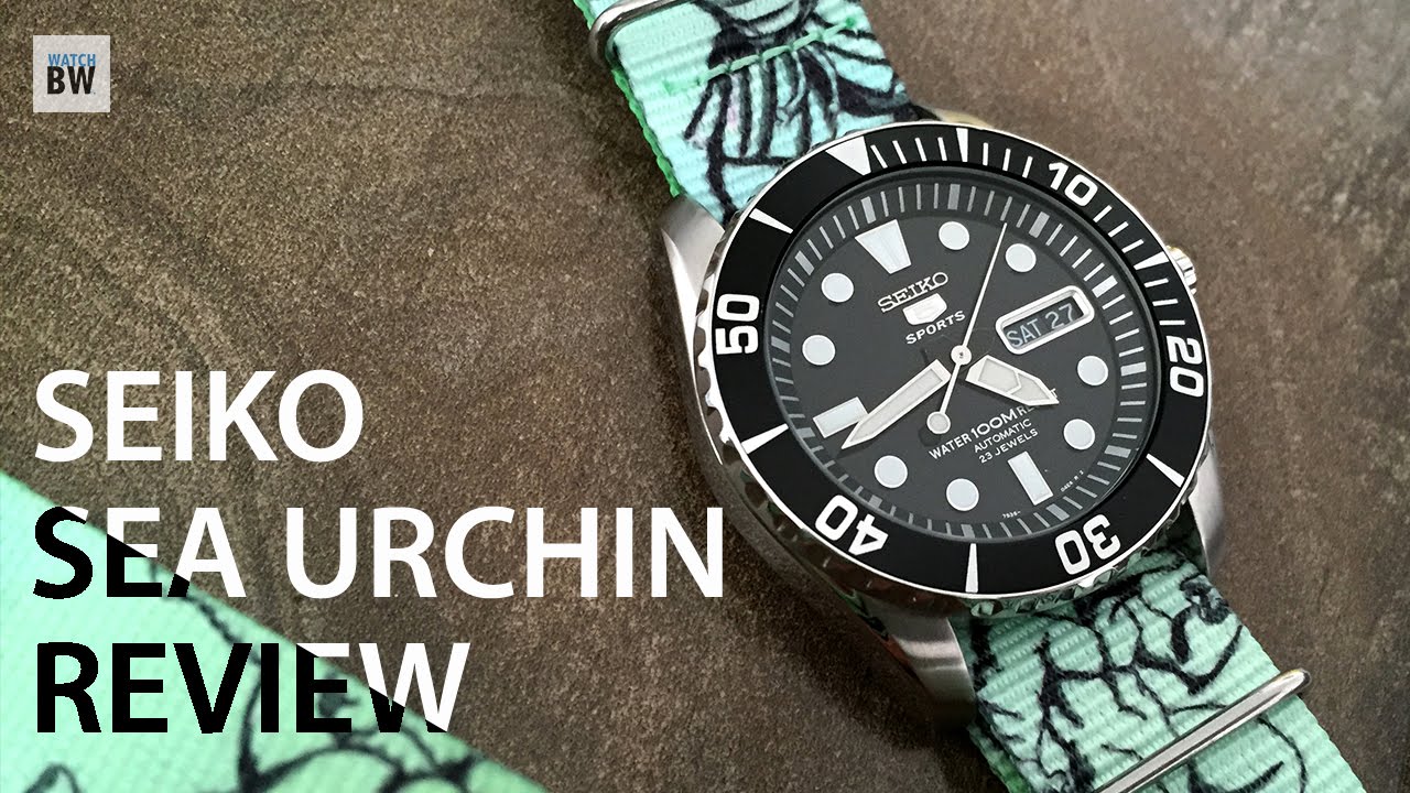 Seiko Sea Urchin Review SNZF17 Affordable 5 Sports Beater