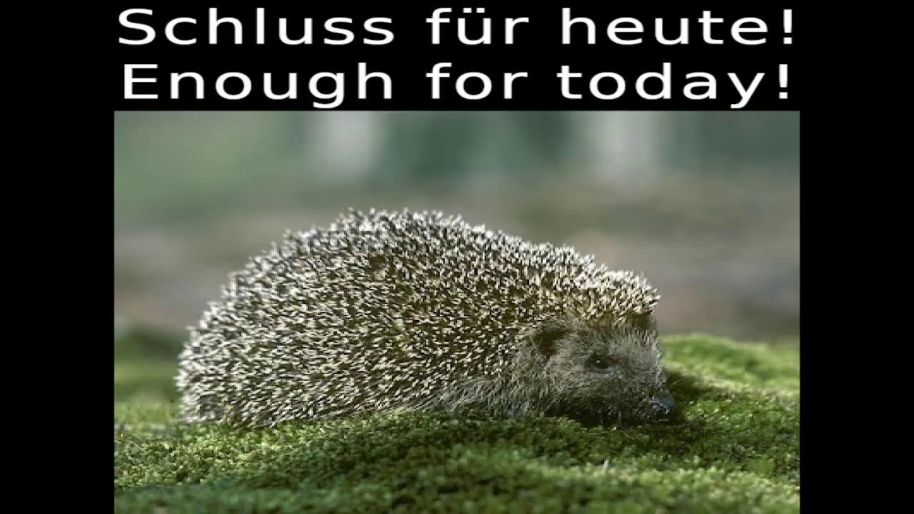 Honki Tonks Zivilisationen [Ada] [Eng|Ger] | Halls of Torment (Blind)