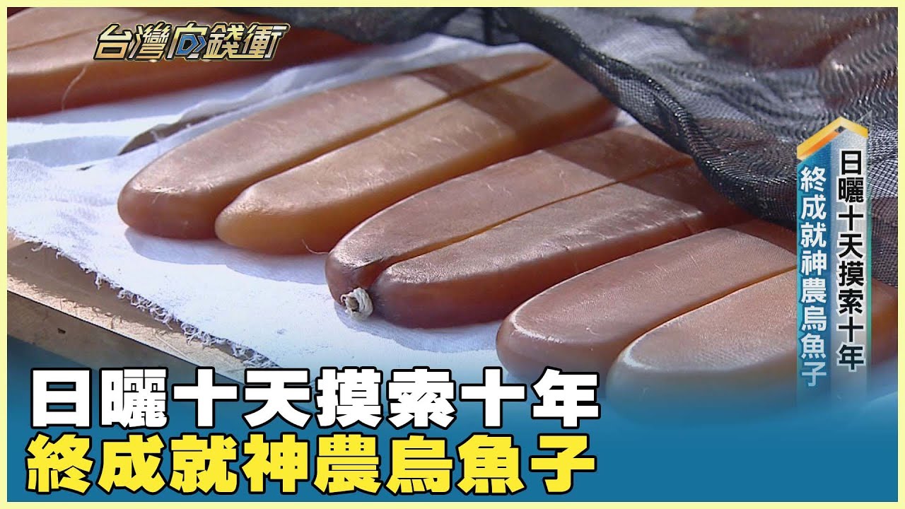 日曬十天摸索十年 終成就神農烏魚子 20251227【台灣向錢衝】PART5