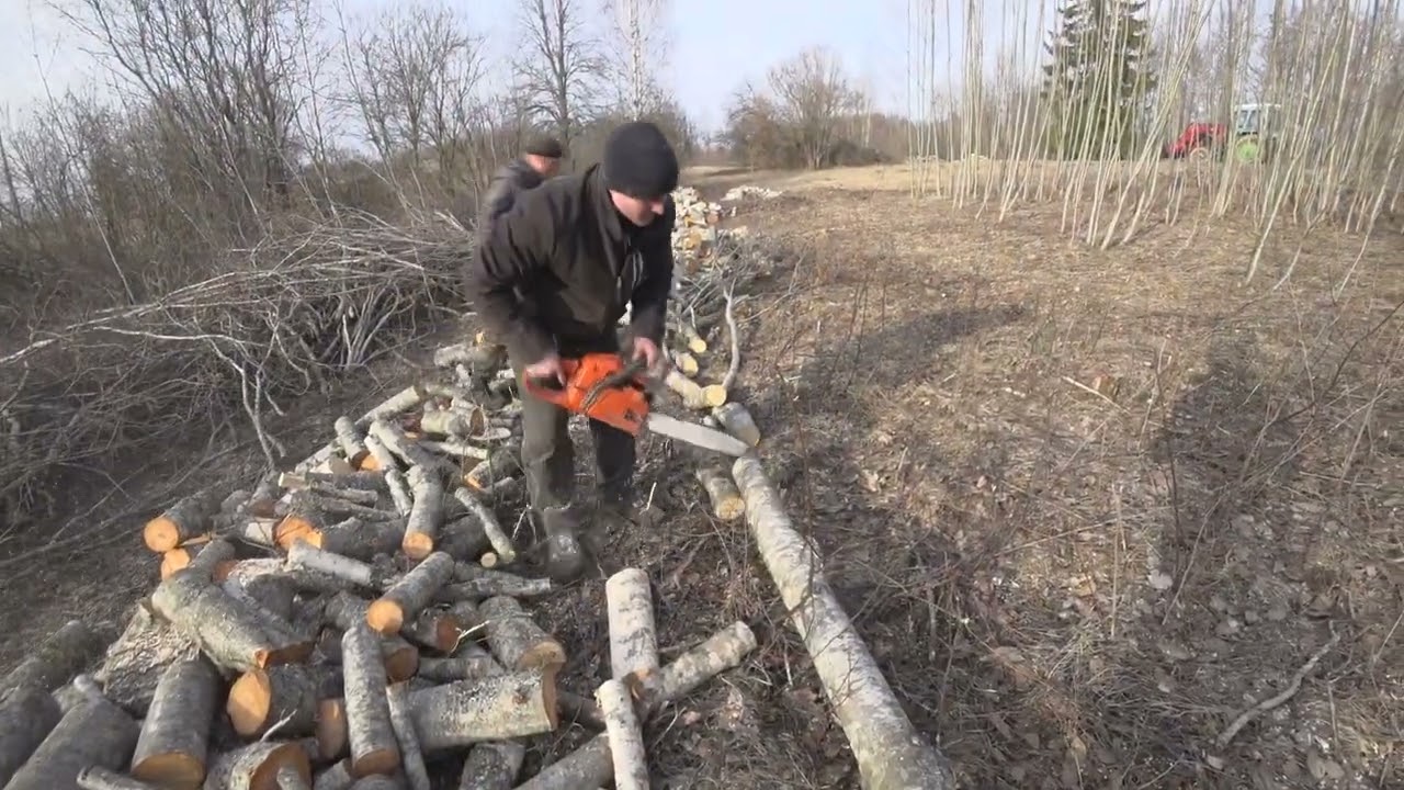 Заготовка дров И увеличиваем загон для Овец! #мтз   #фронтальныйпогрузчик #хуторок