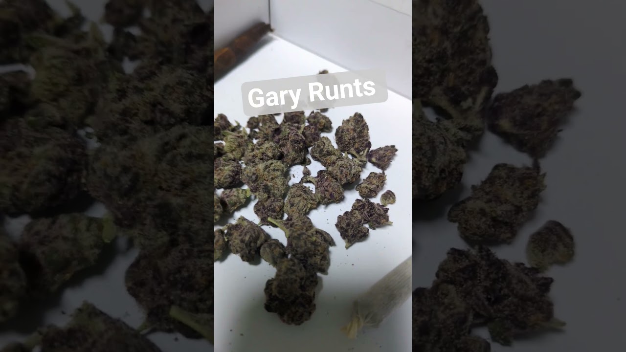 Gary Runts review from discount pharms