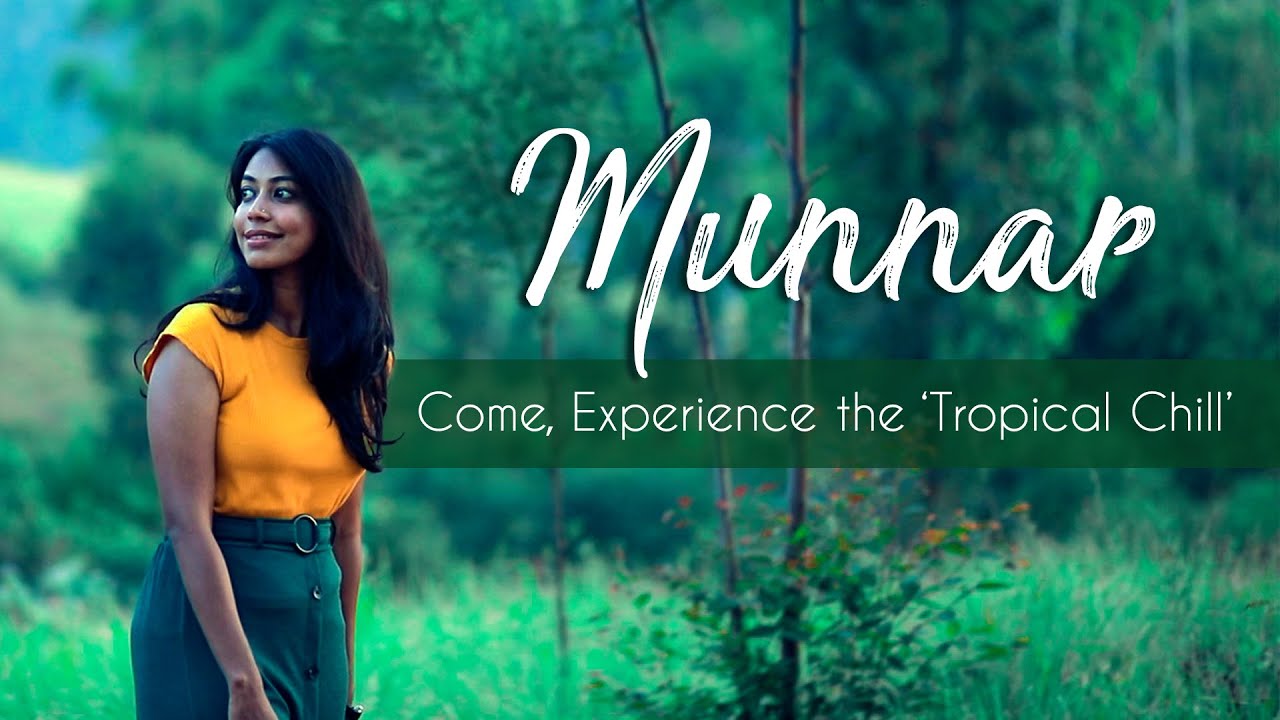 Munnar - Come, Experience the 'Tropical Chill'| Kerala Virtual Tour - Travellers' Choice | Kerala