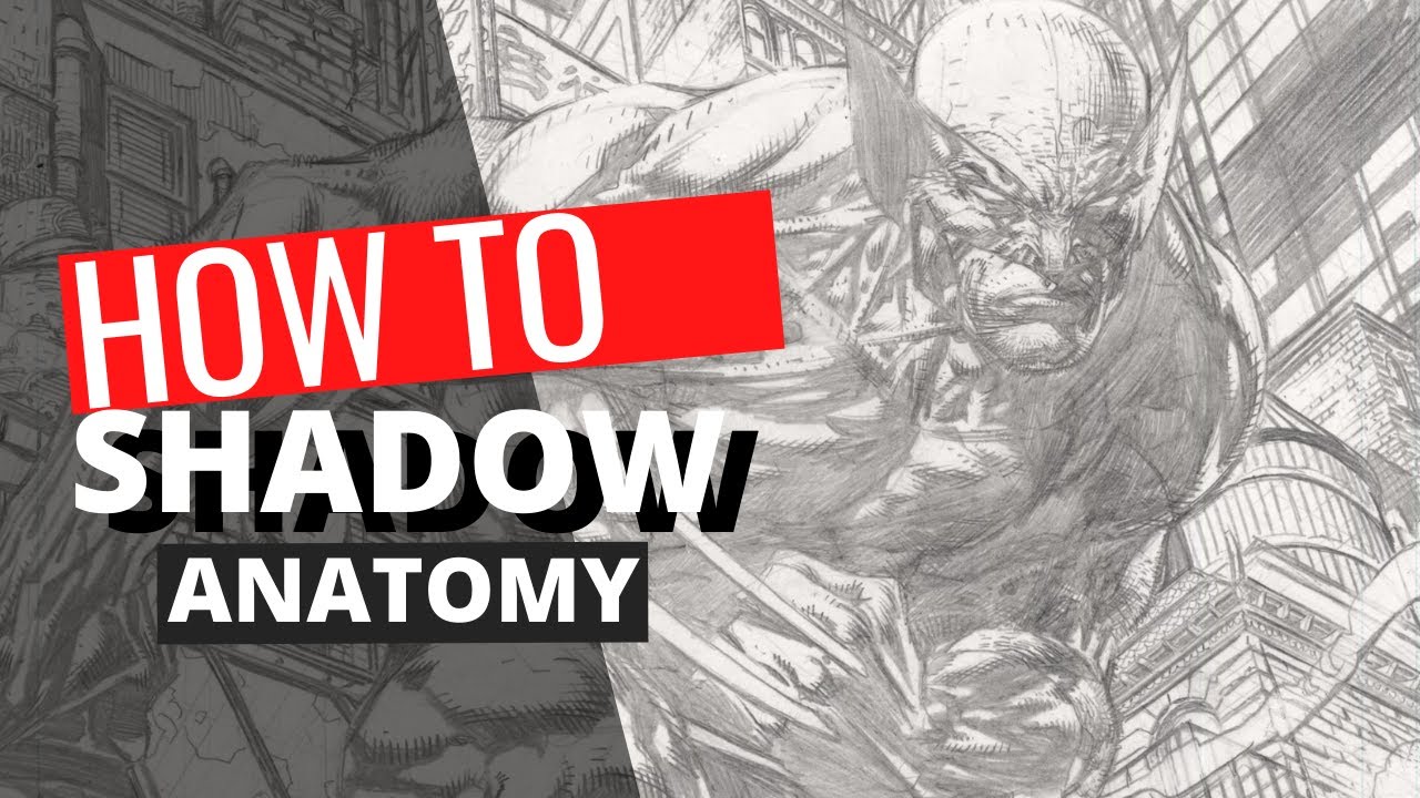 How to Shadow Anatomy