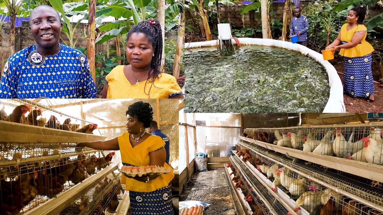 I USED MY POULTRY AND  FISH POND TO FEED  CHURCH MEMBERS THE WHOLE YEAR -  PS.  PAUL & MRS. ASANTE