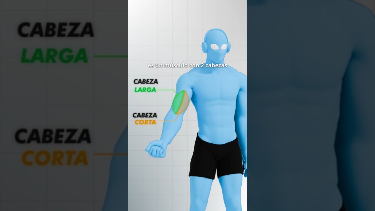 Haz crecer tu B&Iacute;CEPS de esta forma