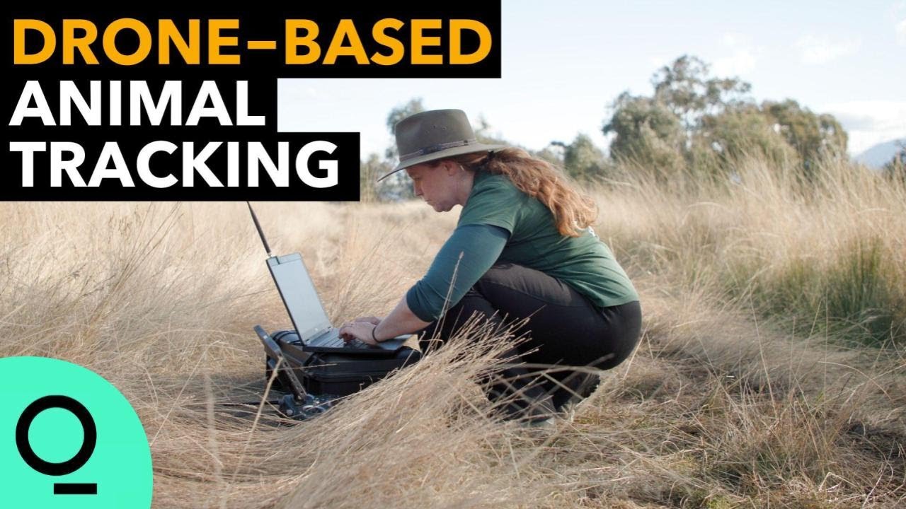 Meet the Woman Behind Award-Winning Startup Wildlife Drones