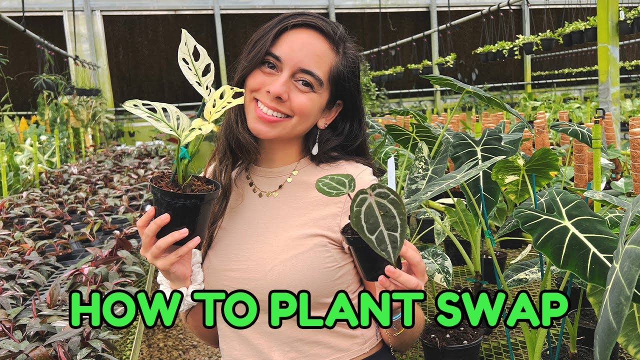 How to Plan a Plant Swap & Host a Local Plant Event | Tips & Tricks to Grow your Next Event