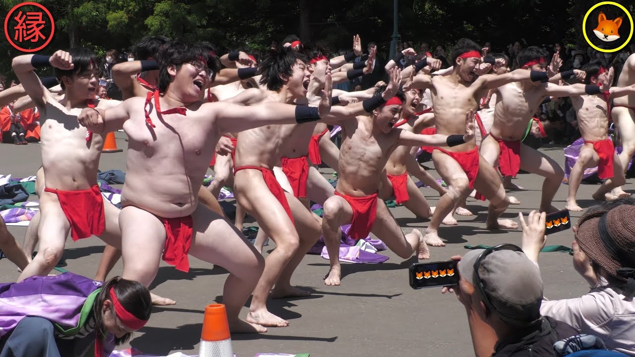 よさこいソーラン祭り2023  6.10  北海道大学”縁”  道庁赤レンガ