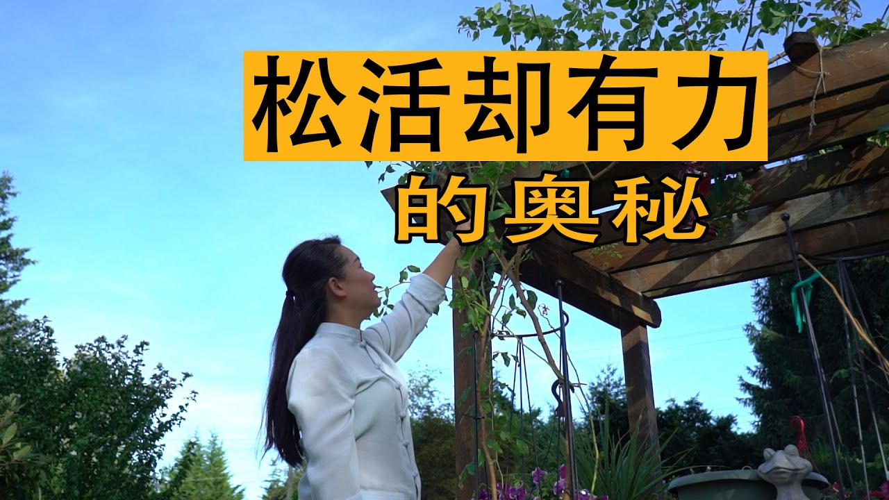 不用力却有力，松通劲到的奥秘