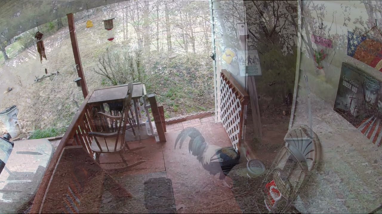 Enjoy. March 3, 2026. ￼