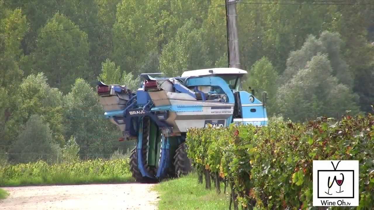 What You Don't Know About Bordeaux WINE TV