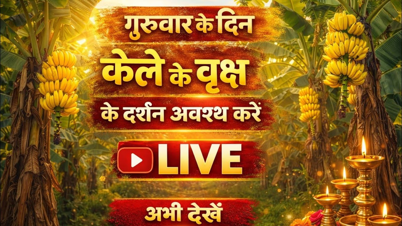 Aarti Dhatra is live!गुरुवार को केले के वृक्ष के दर्शन जरूर करें | भगवान विष्णु की बड़ी कृपा मिलेगी