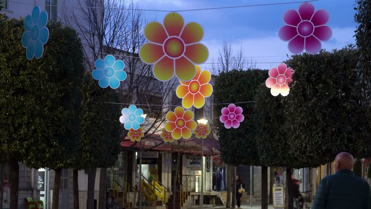 “Një qytet që shumë e kalojnë… por pak e shohin kështu”