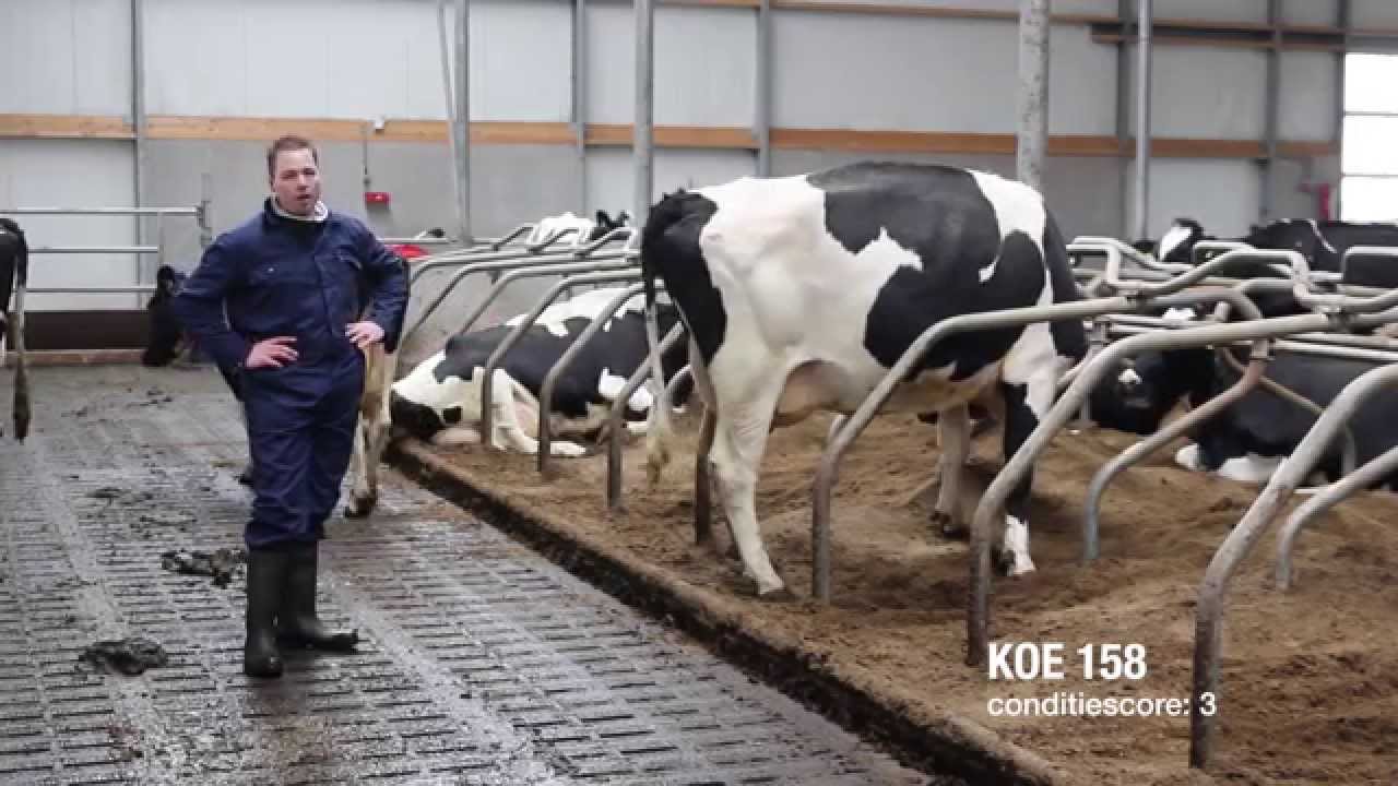 Aflevering 1: Moment van droogzetten