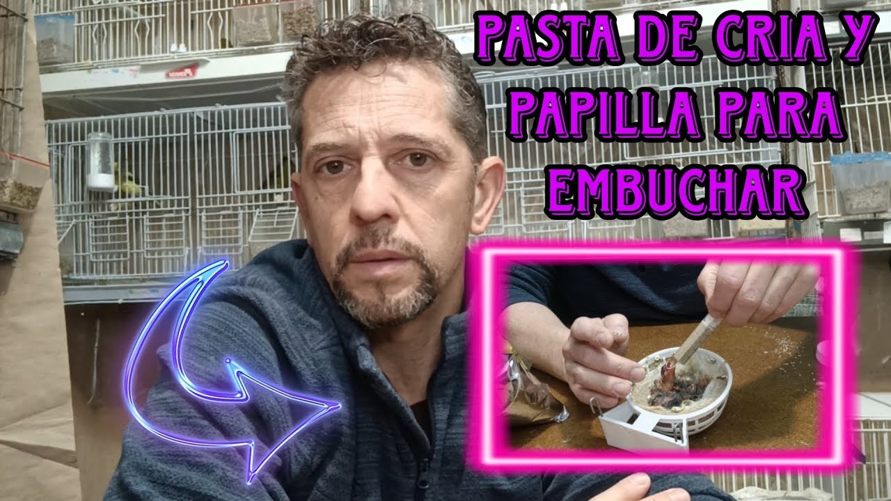 PASTA de CRIA CASERA para  CANARIOS y PAPILLA PARA EMBUCHAR
