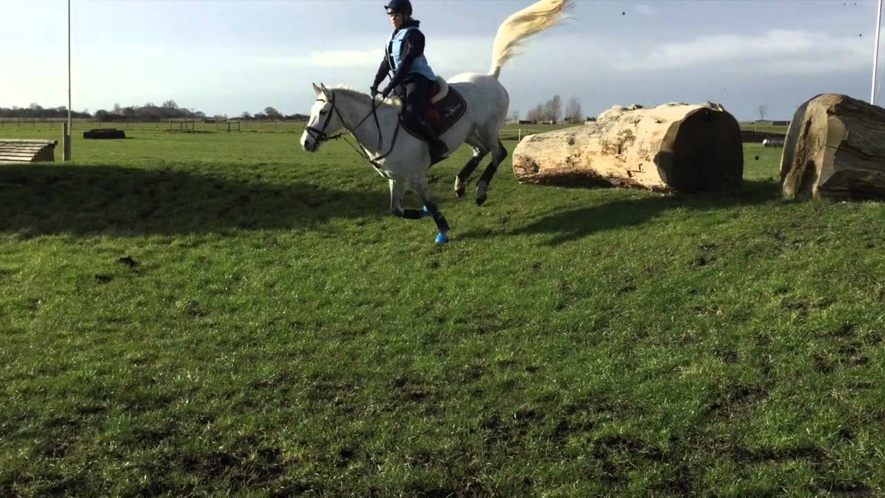 Romeo Z U18 Training at Ely Eventing Centre 19.2.2015