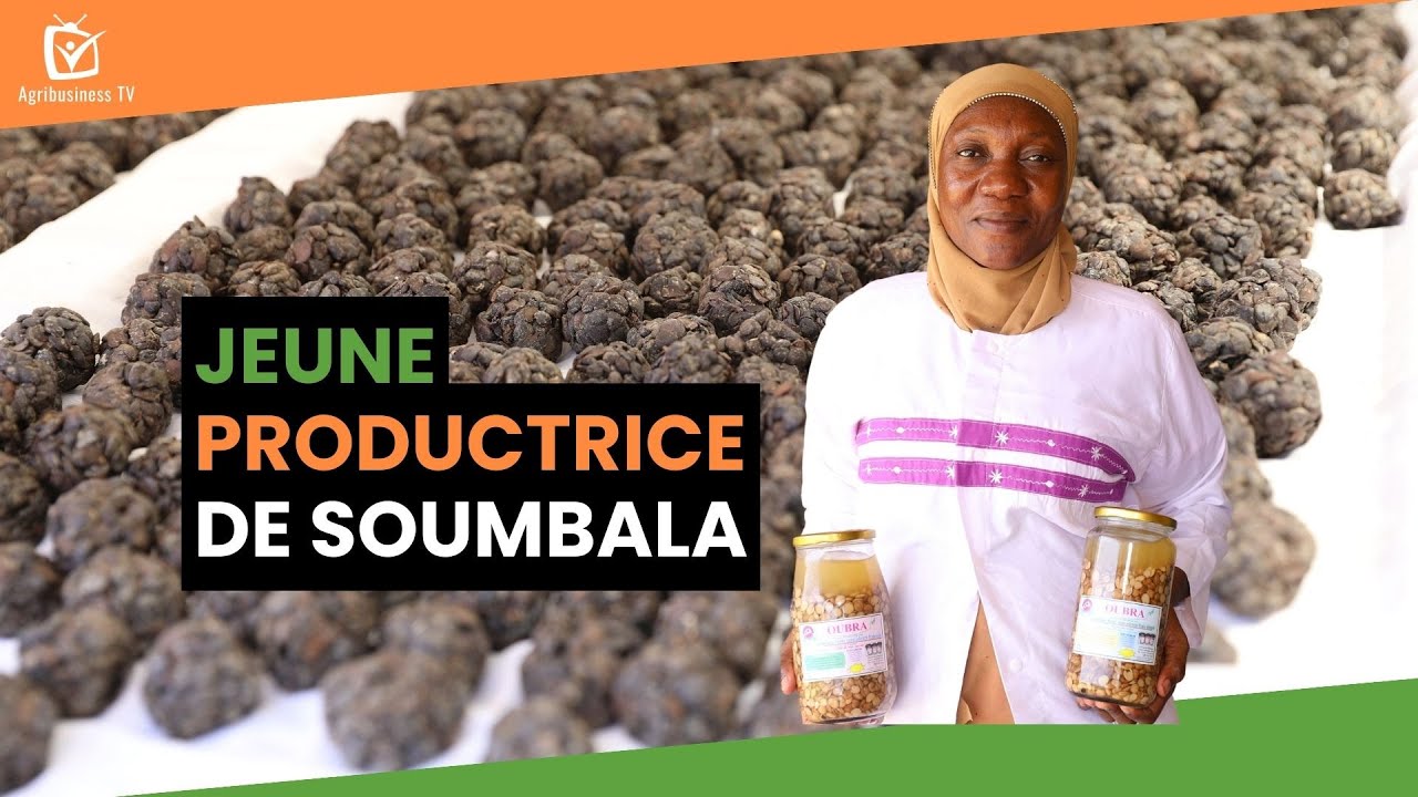 Burkina Faso : Jeune productrice de soumbala