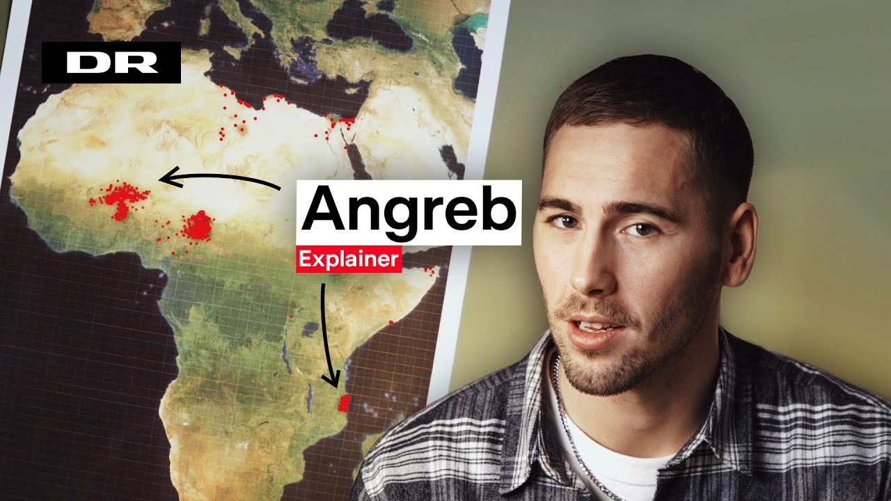 Hvad laver Islamisk stat i Afrika?
