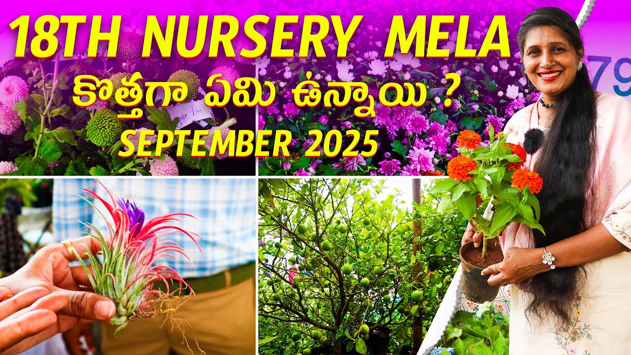 🔴18th Grand NURSERY MELA 2025 in HYDERABAD | Biggest Plant Expo|Horticulture Exhibition With Prices