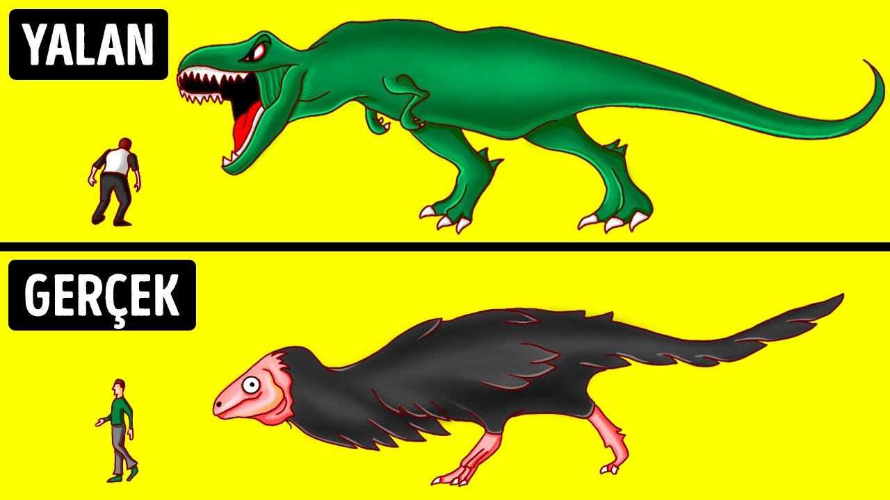 Dinozorlar Hiç De Filmlerde Gördüklerimize Benzemiyordu ve Bunun Gibi İnandığımız 30 Efsane