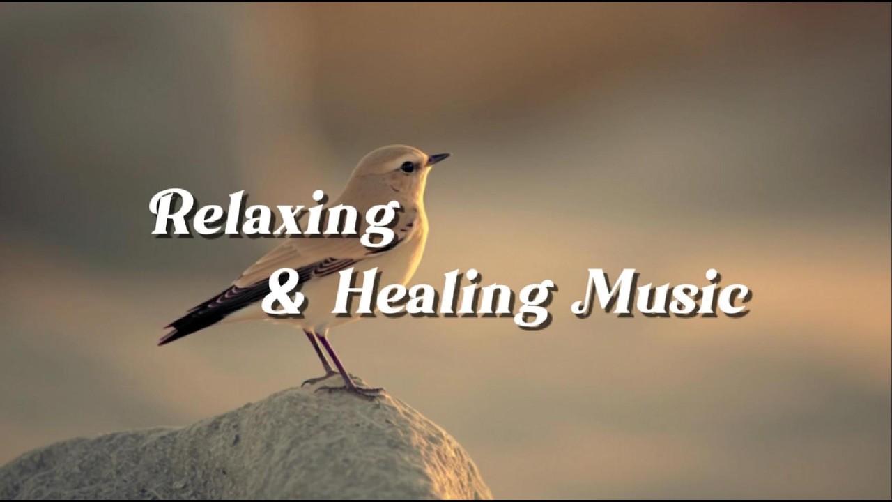 Relaxing Music for Sleep & Focus | Calm Your Mind, Study with Birds