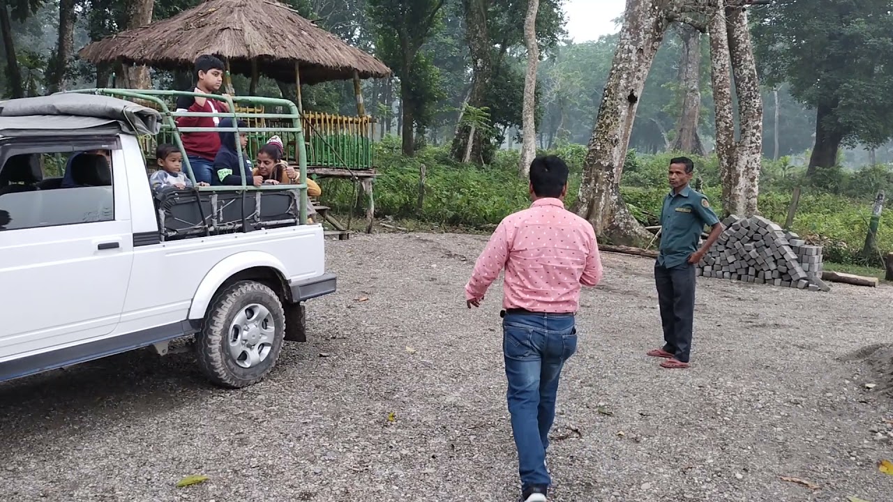 Jungle Safari (Kodal basti)