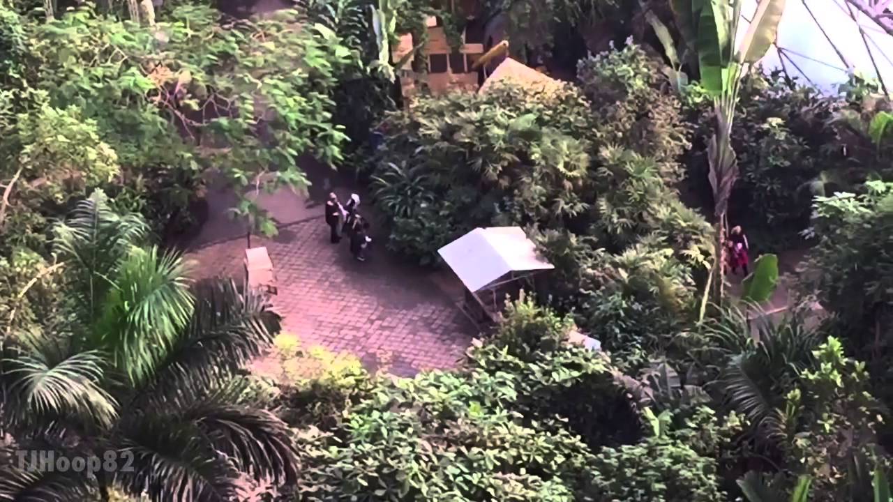 The Eden Project - Cornwall  10/01/2015