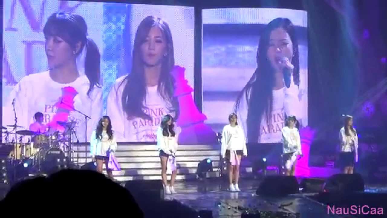 150130 에이핑크 콘서트(Pink Paradise)_위시리스트(Wishlist)