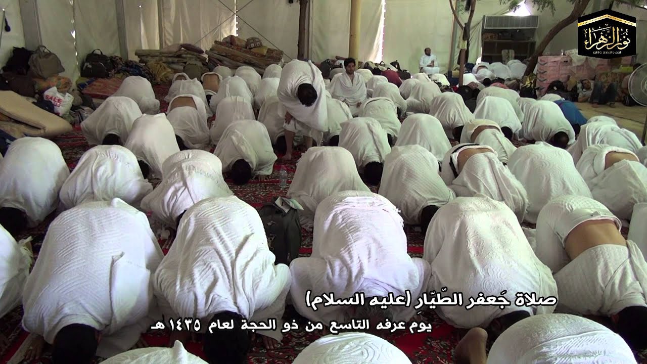 صلاة جعفر الطيار  يوم عرفة 9-12-1435هـ الشيخ جعفر الداوود - تصوير فوزي سكروه  * بحملة نور الزهراء