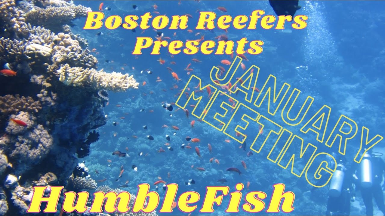 BRS Presents HumbleFish, Fish Disease, Identification and Treatment Expert