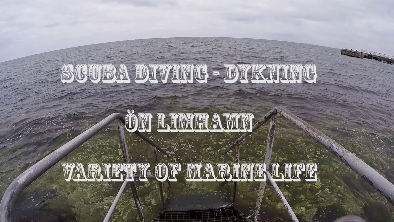 Scuba Diving - Ön Limhamn Sweden - Compilation
